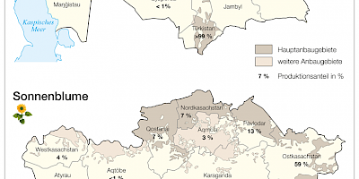 Karte: Kasachstan: Baumwoll- und Sonnenblumenanbau